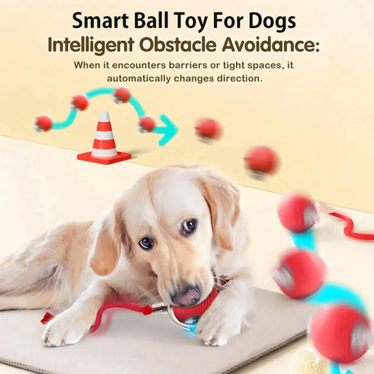 🔥HOT SALE 50% OFF😍The Pet Ball That Moves On Its Own — No Fetch Required