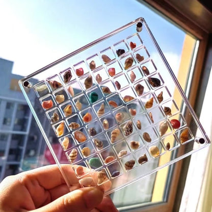🌊Hot Sale 50% OFF✨Acrylic Magnetic Seashell Display Box