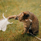 🔥HOT SALE 50%OFF🐱 Keep Your Cat Happy & Active All Day 🐦✨