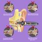 🔥Hot Sale🔥Painless Ear Cleaning for the Whole Family