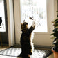 🔥HOT SALE 50%OFF🐱 Keep Your Cat Happy & Active All Day 🐦✨