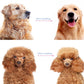 🔥 Hot Sale 50% OFF 🔥Professional Deshedding Tool For Dogs And Cats