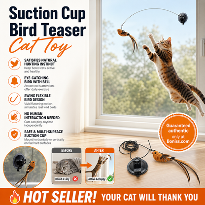 🔥HOT SALE 50%OFF🐱 Keep Your Cat Happy & Active All Day 🐦✨