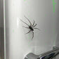 🎃Halloween Limited Offer!🕷️Spider Fridge Magnet Decoration, Removable Magnetic Spider Decals for Refrigerator, Garage Door, Car & Indoor Outdoor Deco
