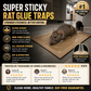 ⏰50% OFF NOW!⛹️Fast Shipping 🚚💨High-Viscosity Mouse & Rat Glue
