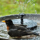 ⏳Limited Special 50%OFF⏰Compact Solar Bird Fountain Pump – Keep Your Garden Alive! 🐦️