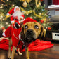 Dog Christmas Clothes Santa Claus Riding Deer