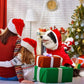 Dog Christmas Clothes Santa Claus Riding Deer