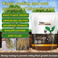 🔥Hot Sales 🎉Strong Rooting Powder Microbial Fertilizer