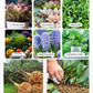 🔥Hot Sales 🎉Strong Rooting Powder Microbial Fertilizer