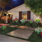💐Limited-time 50% off⏰Simulation Azalea Flower Ground Stake Solar Light💐💡