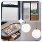 🔥Quick-Dry & Translucent Frosted Glass Paint for Window