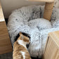 🔥Hot sale🔥2-in-1 Foldable Indoor Soft Round Cat Tunnel Bed