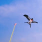 🎣 50% OFF NOW! 🪁 Fishing Rod Kites – Easy to Control, Boosts Coordination & Fun Outdoor Play 👦