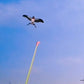 🎣 50% OFF NOW! 🪁 Fishing Rod Kites – Easy to Control, Boosts Coordination & Fun Outdoor Play 👦