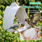 💥50% OFF💖Modern hanging bird feeder for the garden
