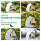 💥50% OFF💖Modern hanging bird feeder for the garden