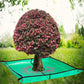 ✨Spring Hot Sale 50%OFF✨78.7"X78.7" Landscape Tarp for Trimming with 12-inch Hole