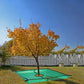 ✨Spring Hot Sale 50%OFF✨78.7"X78.7" Landscape Tarp for Trimming with 12-inch Hole