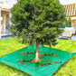 ✨Spring Hot Sale 50%OFF✨78.7"X78.7" Landscape Tarp for Trimming with 12-inch Hole