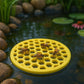 Safe Floating Feeder for Bees & Butterflies
