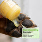 🔥BUY 1 GET 1 FREE🐶 Moisturizing Pet Paw Balm Stick – Coconut & Beeswax, Lick-Safe, No-Mess 🐾