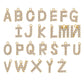 🥳2026 HOT SALE🥳💞50K+ SOLD!⏳✨Initial Letter Design Anklet Set for Women