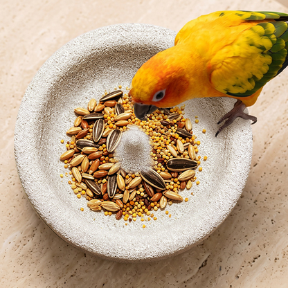 😍Best Sellers 50%OFF🎉2-in-1 Volcanic Rock Bird Food Bowl & Beak Grinder