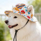 🎁🎁BUY 2 GET 1 FREE🌞Summer Puppy Bucket Hat with Ear Holes