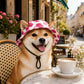 🎁🎁BUY 2 GET 1 FREE🌞Summer Puppy Bucket Hat with Ear Holes