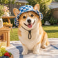 🎁🎁BUY 2 GET 1 FREE🌞Summer Puppy Bucket Hat with Ear Holes