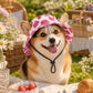 🎁🎁BUY 2 GET 1 FREE🌞Summer Puppy Bucket Hat with Ear Holes