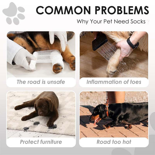 🐕 Save 50%! 👟 Adjustable Dog Boots – Straps & paw protection ✨