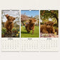 🔥🎉2027 Grumpy Highland Cows A4 Wall Calendar