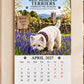 🔥West Highland Terriers 2027 Calendar