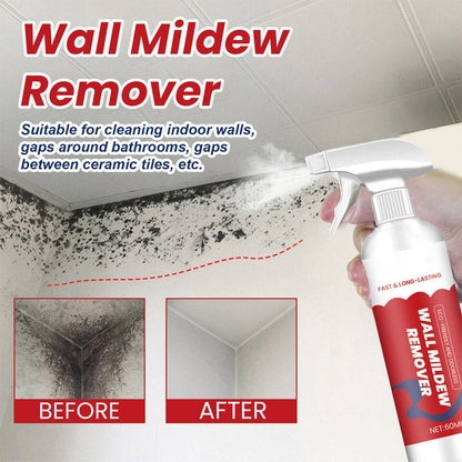 🔥Best Sellers – 50% OFF✨Powerful & Long-Lasting Wall Mold Remover